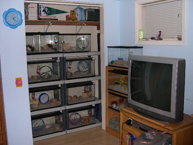 rodentroom02.jpg