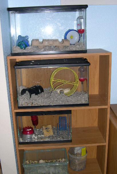 rodentroom05.jpg